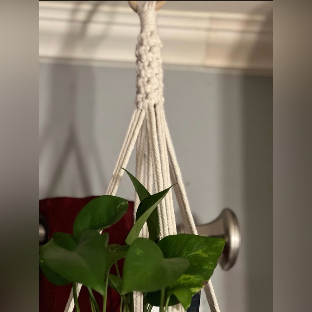 Cream Macramé plant holder - Picture 4 of 8